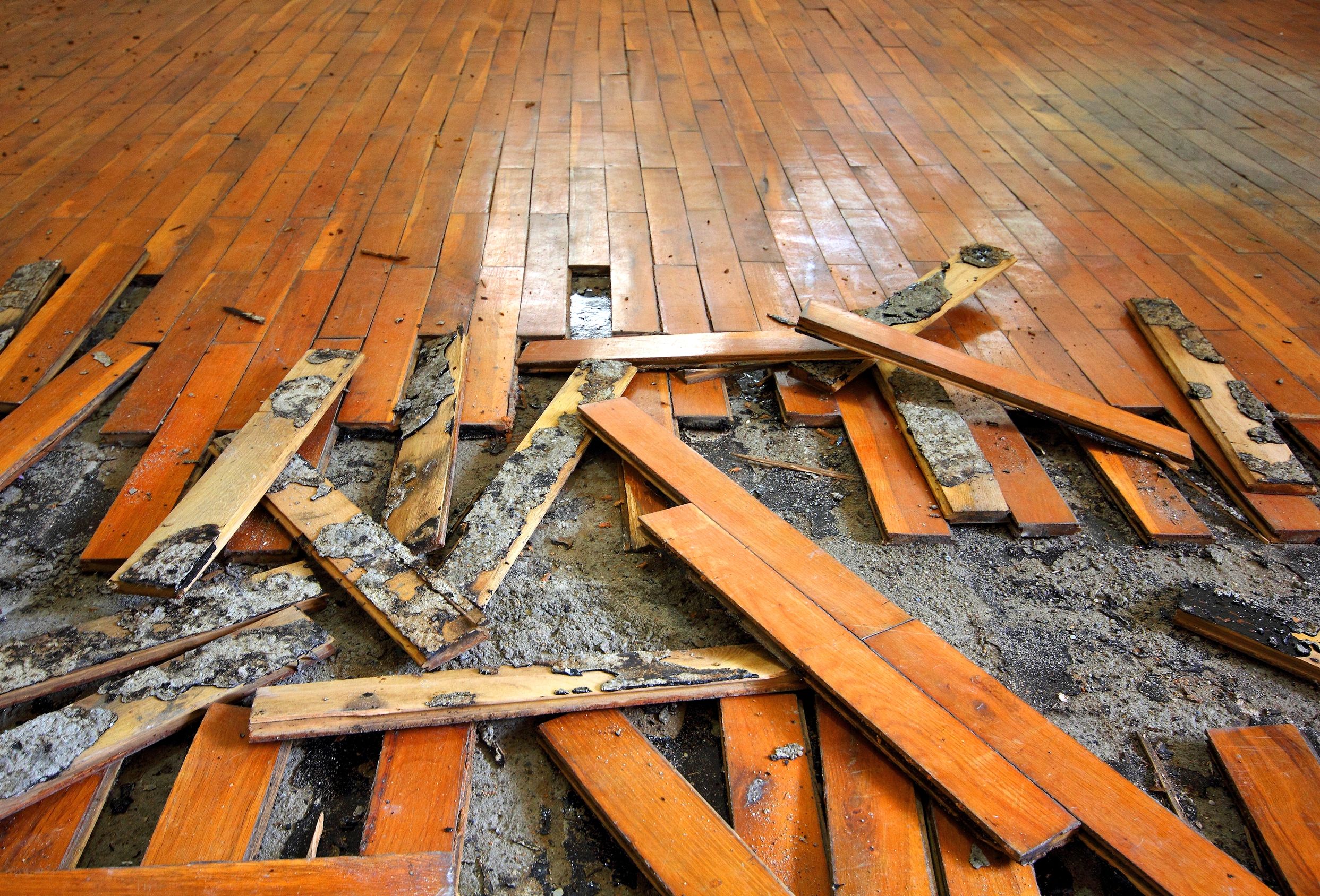 How to Repair a Water Damaged Wood Floor - WoodFloorDoctor.com (2485 x 1688 Pixel)